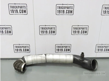 : foto do cabeçalho