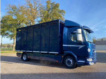 Leasing de DAF LF 280 DAF LF 280: foto 2