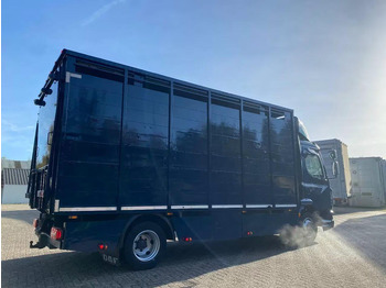 Leasing de DAF LF 280 DAF LF 280: foto 3