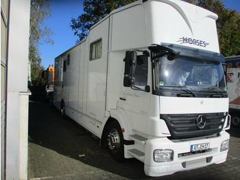 Leasing de Mercedes-Benz Axor 1833 - Horse transporter Mercedes-Benz Axor 1833 - Horse transporter: foto 2