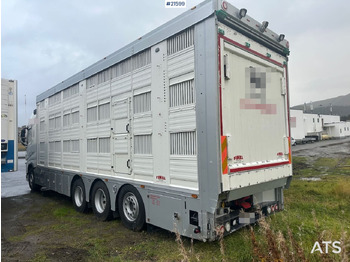 Leasing de Volvo 540 8x4 dyrebil m/ Finkl påbygg, onspot og godkjent til 225 dyr Volvo 540 8x4 dyrebil m/ Finkl påbygg, onspot og godkjent til 225 dyr: foto 4