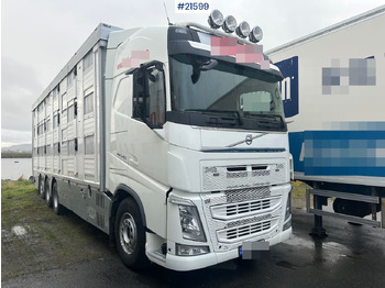 Leasing de Volvo 540 8x4 dyrebil m/ Finkl påbygg, onspot og godkjent til 225 dyr Volvo 540 8x4 dyrebil m/ Finkl påbygg, onspot og godkjent til 225 dyr: foto 1