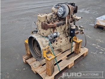 : foto do cabeçalho