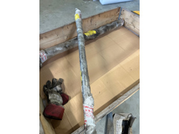 : foto do cabeçalho