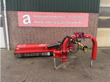 : foto do cabeçalho