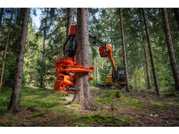 : foto do cabeçalho