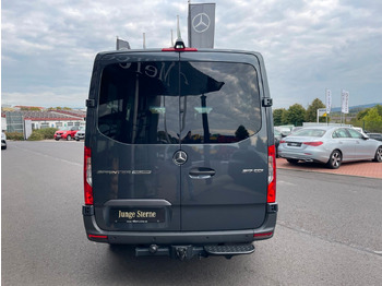 Furgão de passageiros Mercedes-Benz Sprinter 317 CDI Tourer 3665 9G Kamera AHK3,5to: foto 4