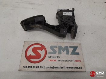 Cabine e interior MAN