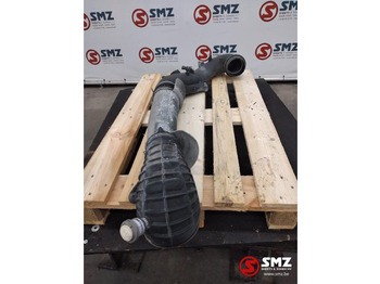 : foto do cabeçalho