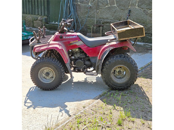 Quadriciclo Kawasaki KLF 250: foto 2