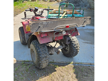 Quadriciclo Kawasaki KLF 250: foto 4
