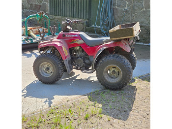 Quadriciclo Kawasaki KLF 250: foto 3