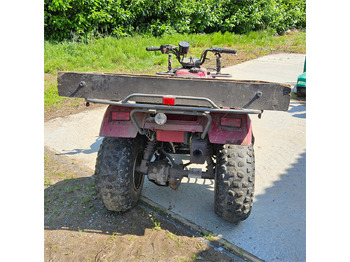 Quadriciclo Kawasaki KLF 250: foto 5