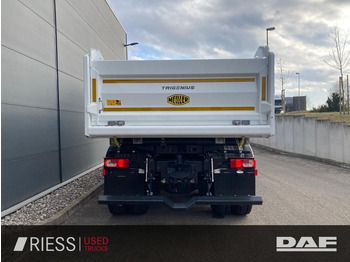 Camião basculante novo DAF XFc 480 FAT 6x4 Intarder Bordmatik Trigenius DAF XFc 480 FAT 6x4 Intarder Bordmatik Trigenius: foto 5 Camião basculante novo DAF XFc 480 FAT 6x4 Intarder Bordmatik Trigenius DAF XFc 480 FAT 6x4 Intarder Bordmatik Trigenius: foto 5