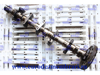 : foto do cabeçalho