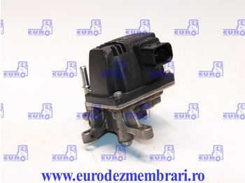 : foto do cabeçalho