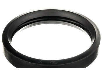 : foto do cabeçalho