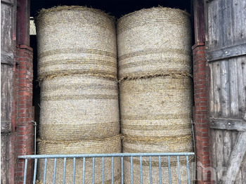 : foto do cabeçalho