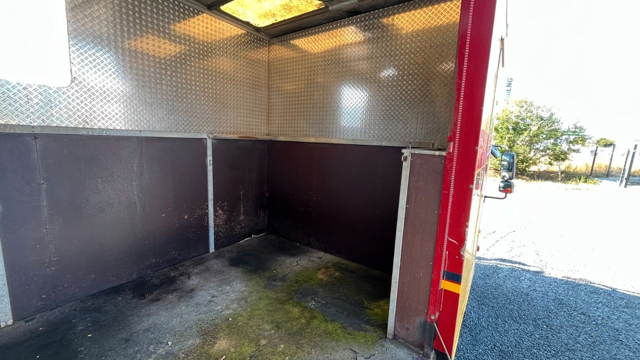 Camião de transporte de cavalos MAN TGL 10.180 Euro 4  Pferdetransporter Horse MAN TGL 10.180 Euro 4  Pferdetransporter Horse: foto 8