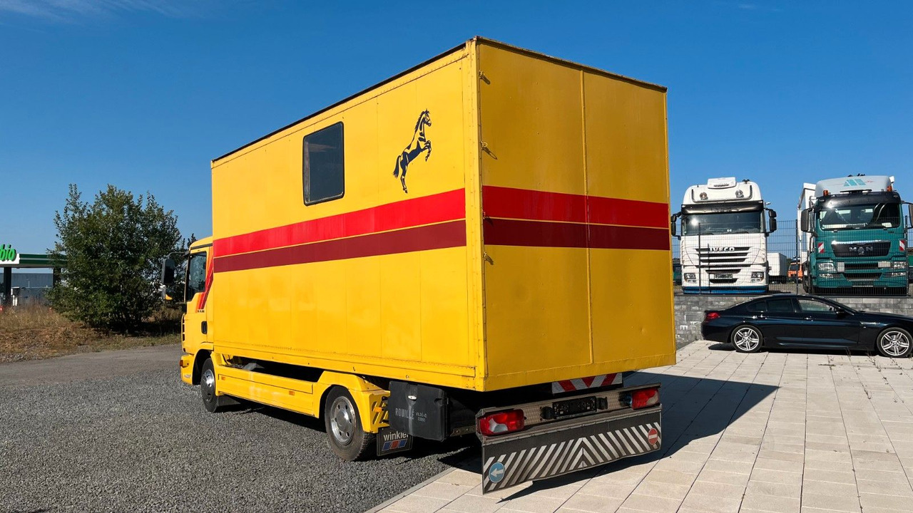 MAN TGL 10.180 Euro 4 Pferdetransporter Horse MAN TGL 10.180 Euro 4 Pferdetransporter Horse - Camião de transporte de cavalos: foto 5 MAN TGL 10.180 Euro 4 Pferdetransporter Horse MAN TGL 10.180 Euro 4 Pferdetransporter Horse - Camião de transporte de cavalos: foto 5