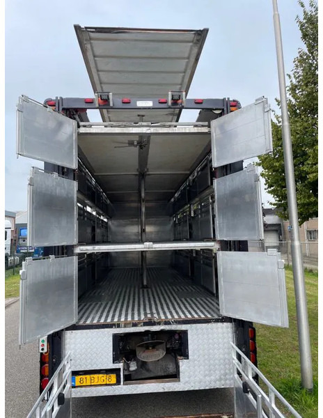 DAF XF 460 2017 berdex 3 lagen varkens - Camião transporte de gado: foto 3 DAF XF 460 2017 berdex 3 lagen varkens - Camião transporte de gado: foto 3