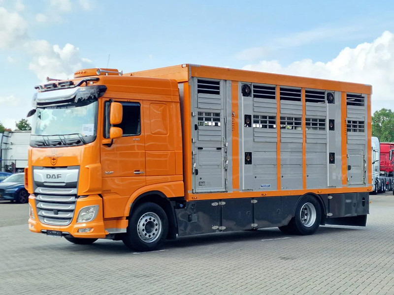 DAF XF 530 4x2 - Livestock Menke 2 deck water & ventilation - Camião transporte de gado: foto 5 DAF XF 530 4x2 - Livestock Menke 2 deck water & ventilation - Camião transporte de gado: foto 5
