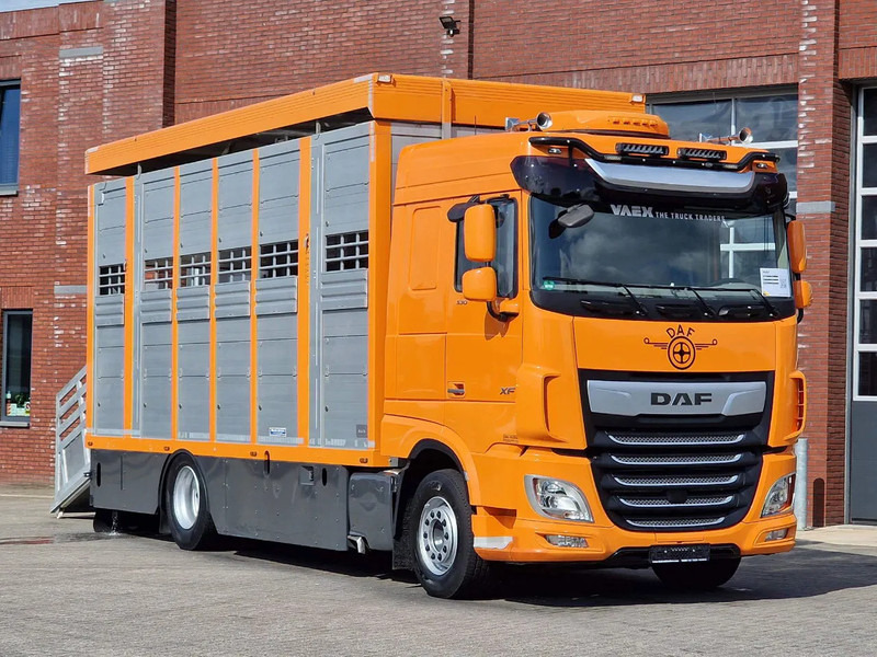 DAF XF 530 4x2 - Livestock Menke 2 deck water & ventilation - Camião transporte de gado: foto 1 DAF XF 530 4x2 - Livestock Menke 2 deck water & ventilation - Camião transporte de gado: foto 1