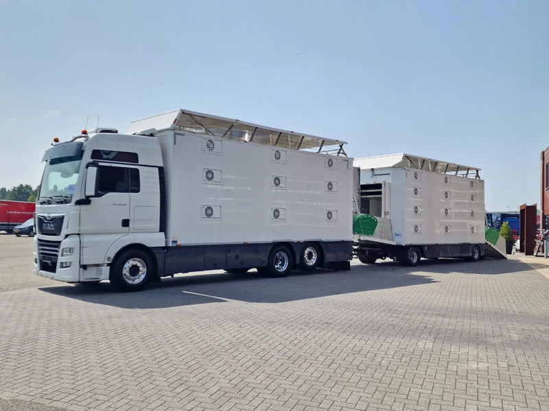 MAN TGX 500 6x2 - 3 deck Cuppers + 4 deck Cuppers 2019 trailer - Water & Ventilation - Night clima - - Camião transporte de gado: foto 3 MAN TGX 500 6x2 - 3 deck Cuppers + 4 deck Cuppers 2019 trailer - Water & Ventilation - Night clima - - Camião transporte de gado: foto 3