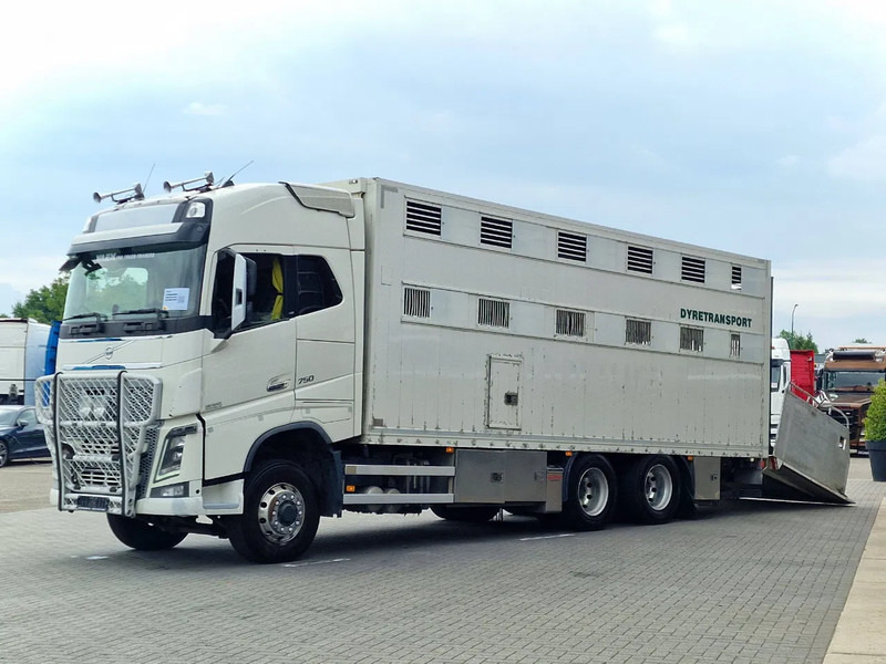 Volvo FH 16.750 6x6/6x4 2 deck livestock - Full air - VEB + - Camião transporte de gado: foto 4 Volvo FH 16.750 6x6/6x4 2 deck livestock - Full air - VEB + - Camião transporte de gado: foto 4