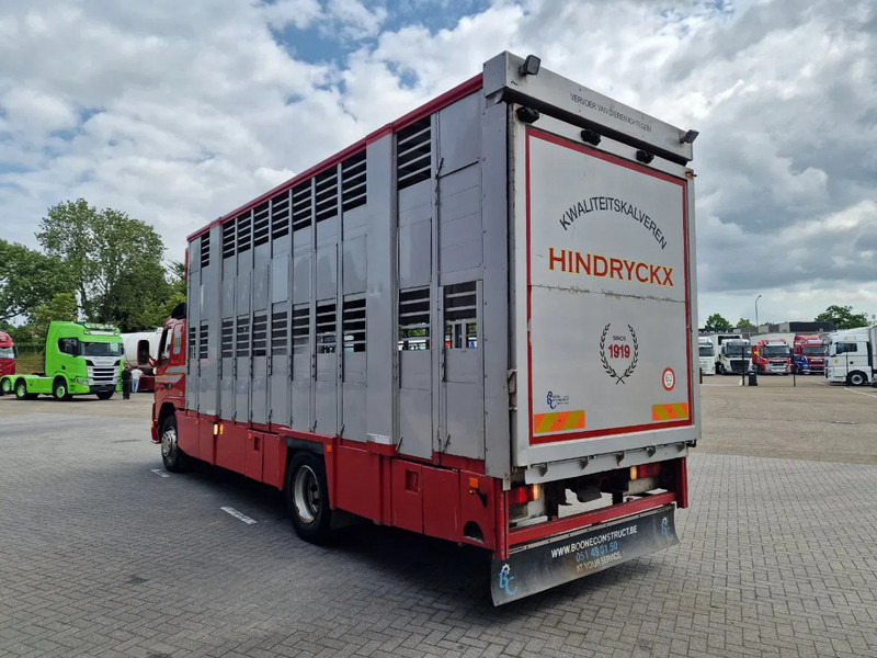 Volvo FM 250 4x- Livestock 2 deck - Lifting floors - Loadlift - Manual gearbox - Camião transporte de gado: foto 5 Volvo FM 250 4x- Livestock 2 deck - Lifting floors - Loadlift - Manual gearbox - Camião transporte de gado: foto 5