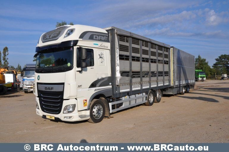 Camião de transporte de cavalos DAF DAF Krone XF 460 FAR XF 460 FAR: foto 1