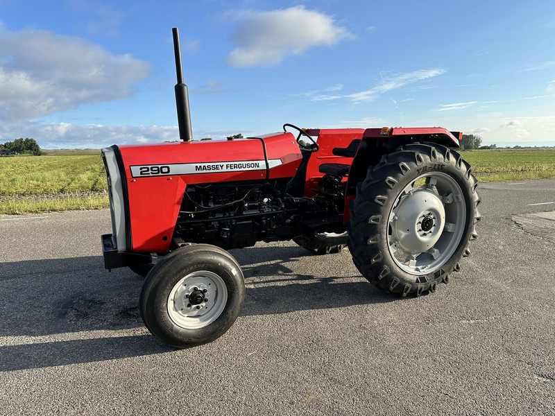 Massey Ferguson 290 - Trator: foto 1 Massey Ferguson 290 - Trator: foto 1