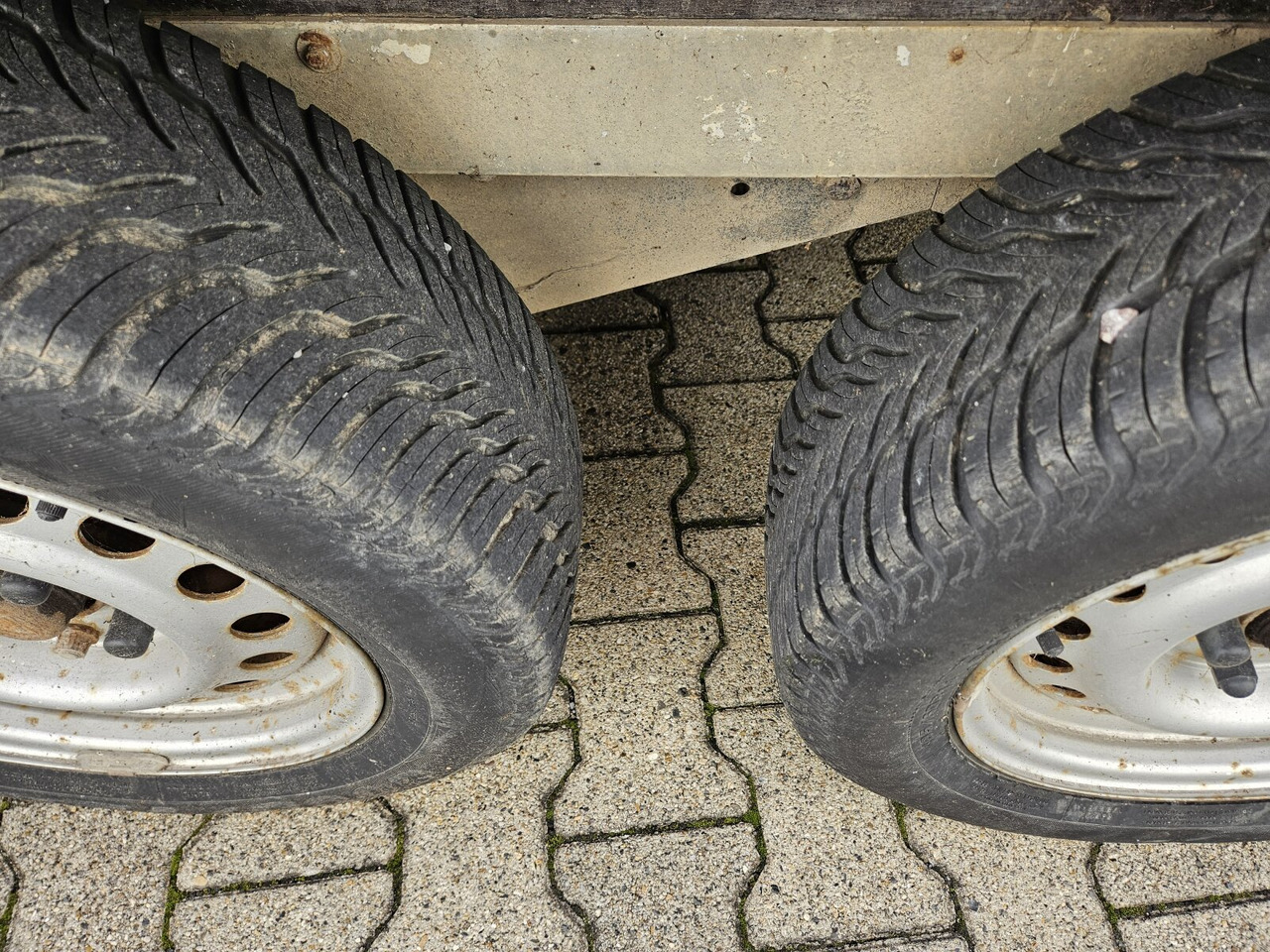 Blomert T2BPA Pferdeanhänger T2BPA Pferdeanhänger - Reboque para cavalos: foto 4 Blomert T2BPA Pferdeanhänger T2BPA Pferdeanhänger - Reboque para cavalos: foto 4