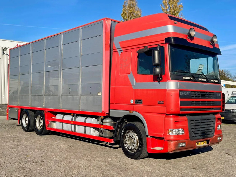 DAF XF 95.430 BERDEX 3 decks. Water, fans, Scales! Excellent condition. - Camião transporte de gado: foto 5 DAF XF 95.430 BERDEX 3 decks. Water, fans, Scales! Excellent condition. - Camião transporte de gado: foto 5