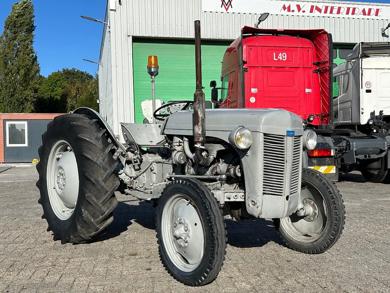 Diversen FERGUSON tractor - Trator: foto 2 Diversen FERGUSON tractor - Trator: foto 2
