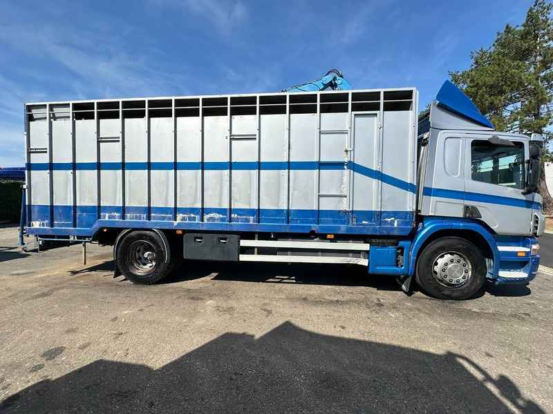Scania P310 4x2 LIVESTOCK / VEEWAGEN / TIERTRANSPORT / BETAILLERE - ALU BOX 7m - MANUAL - A/C - BELGIAN TRUCK - Camião transporte de gado: foto 4 Scania P310 4x2 LIVESTOCK / VEEWAGEN / TIERTRANSPORT / BETAILLERE - ALU BOX 7m - MANUAL - A/C - BELGIAN TRUCK - Camião transporte de gado: foto 4