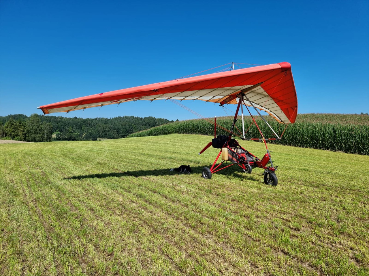 Air Creation GT BI 503-2E - Quadriciclo: foto 5 Air Creation GT BI 503-2E - Quadriciclo: foto 5