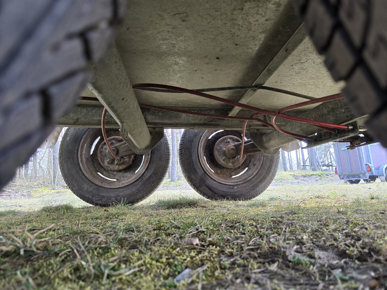 PONGRATZ PA 310 T - Reboque transporte de gado: foto 4 PONGRATZ PA 310 T - Reboque transporte de gado: foto 4