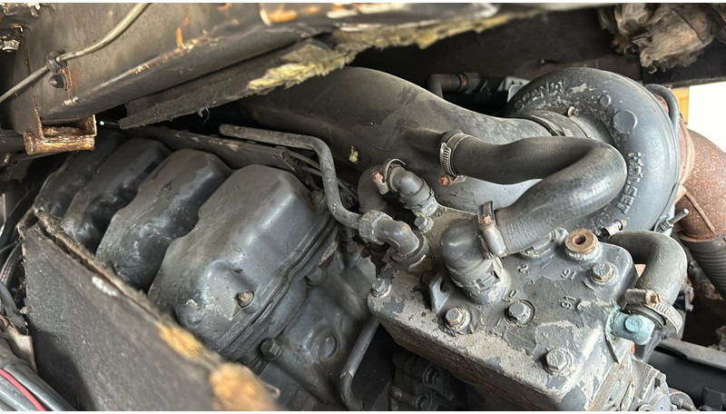 Tractor Scania 164 - 480 Topline (MANUAL GEARBOX / RETARDER ): foto 17