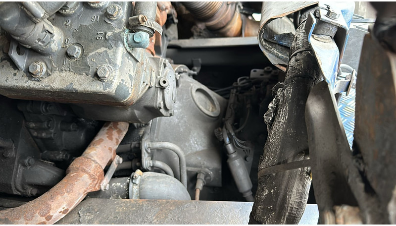 Tractor Scania 164 - 480 Topline (MANUAL GEARBOX / RETARDER ): foto 18