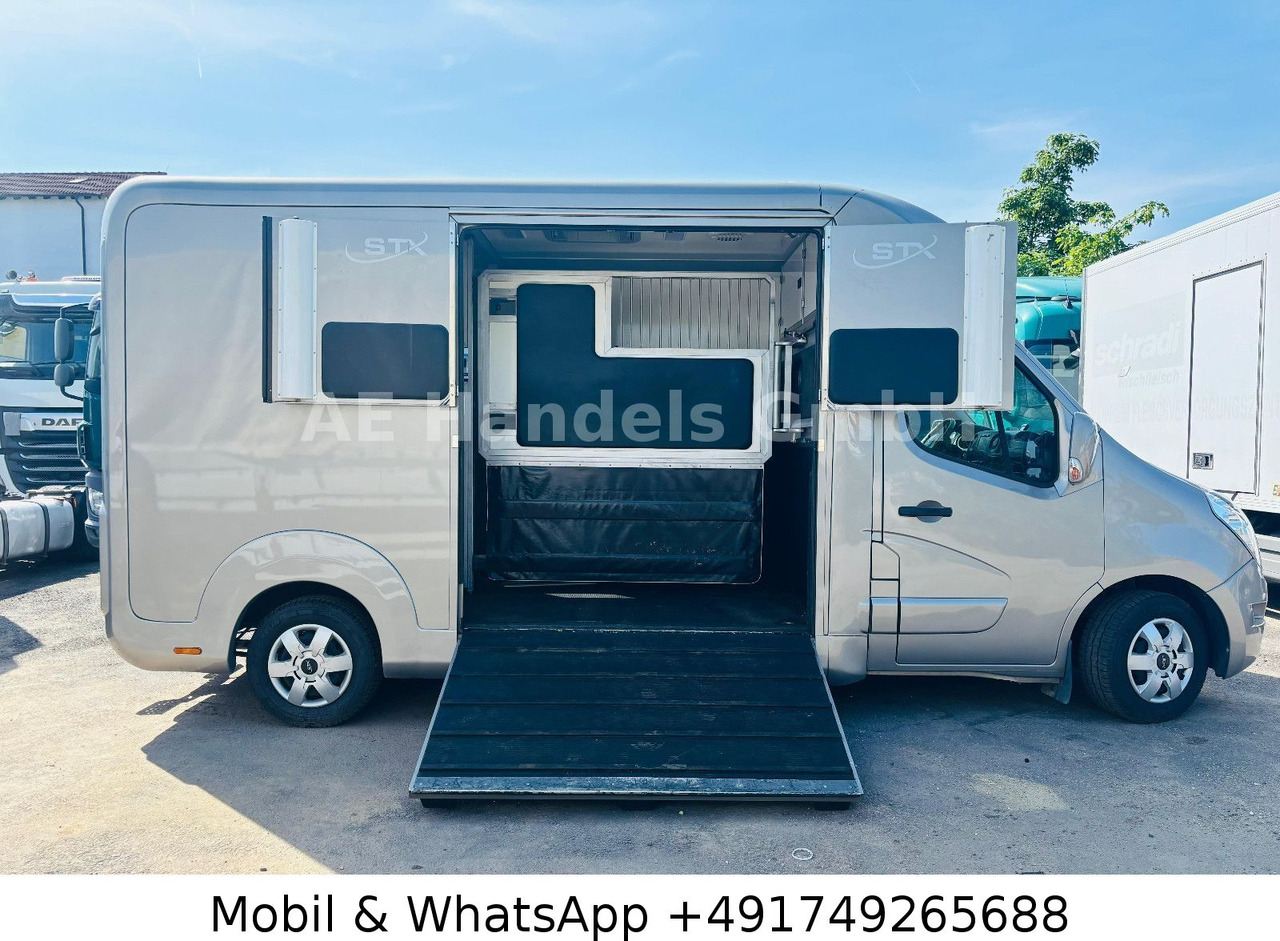 Renault Master STX Horsebox *Haras/2-Horses/3-Sitze - Reboque para cavalos: foto 3 Renault Master STX Horsebox *Haras/2-Horses/3-Sitze - Reboque para cavalos: foto 3