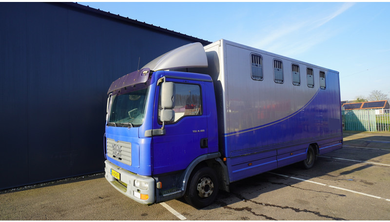 MAN TGL 8.180 HORSE TRANPORT 515.000KM - Camião de transporte de cavalos: foto 3 MAN TGL 8.180 HORSE TRANPORT 515.000KM - Camião de transporte de cavalos: foto 3