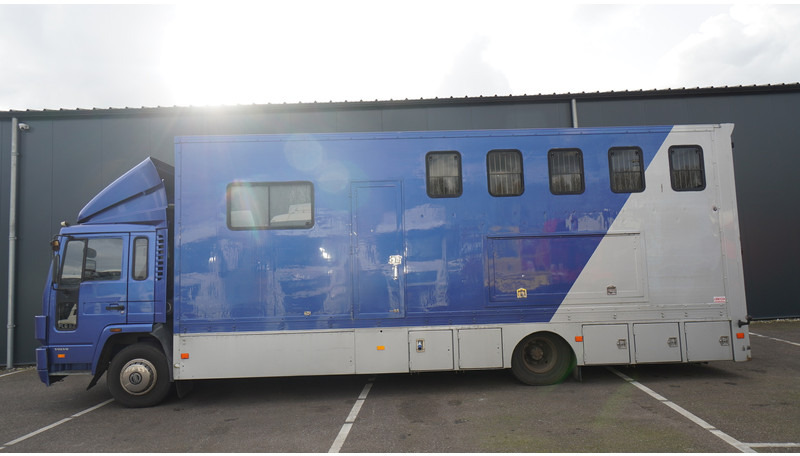 Volvo FL 6-9 HORSE TRANSPORT 341.000KM MANUAL GEARBOX - Camião de transporte de cavalos: foto 1 Volvo FL 6-9 HORSE TRANSPORT 341.000KM MANUAL GEARBOX - Camião de transporte de cavalos: foto 1