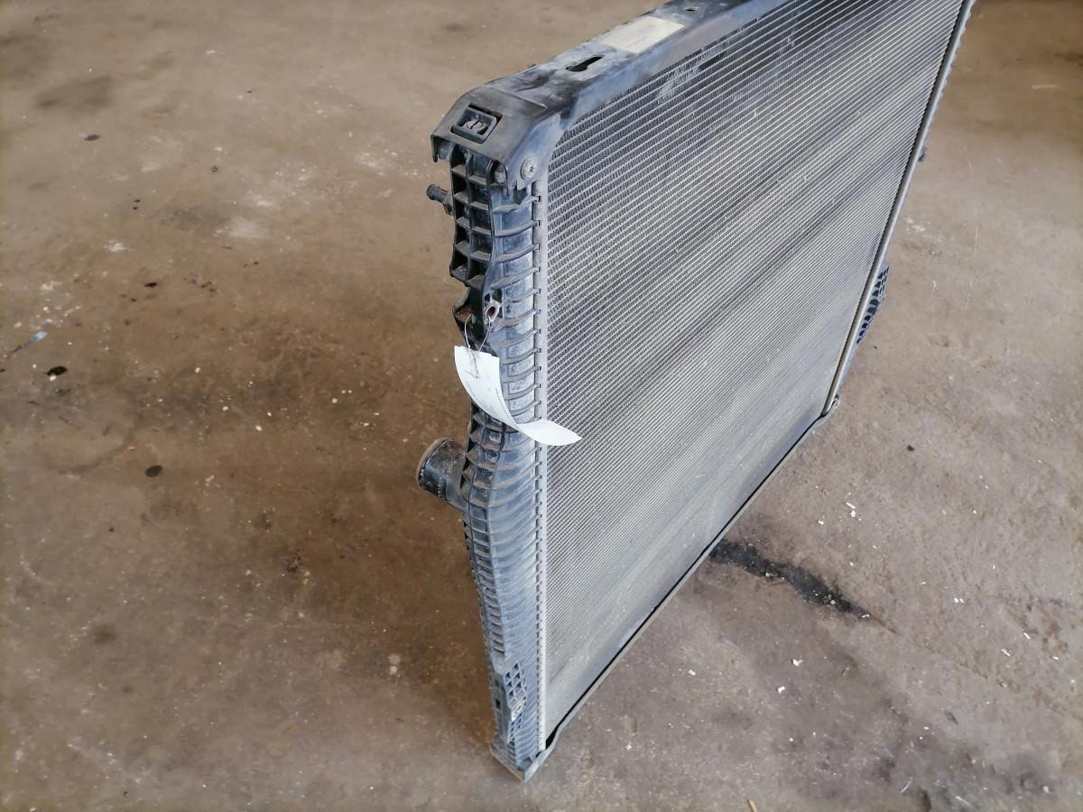 Scania Cooling radiator 2027572 - Radiador por Camião: foto 4 Scania Cooling radiator 2027572 - Radiador por Camião: foto 4