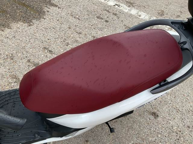 Motocicleta Sym phony 50: foto 14