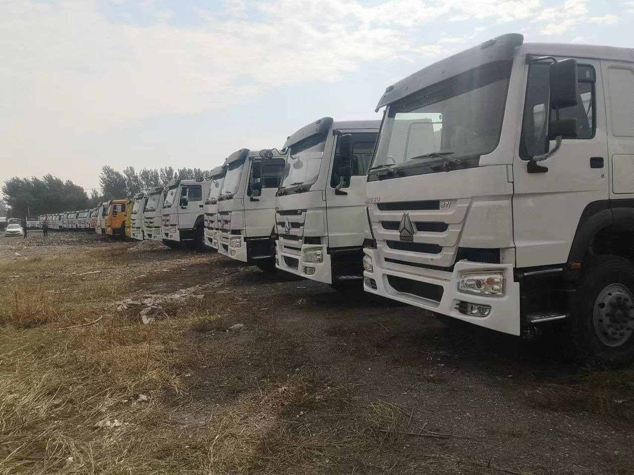 SINOTRUK HOWO WITH FENCE LIVESTOCK DUMP TRUCK - Camião basculante: foto 1 SINOTRUK HOWO WITH FENCE LIVESTOCK DUMP TRUCK - Camião basculante: foto 1