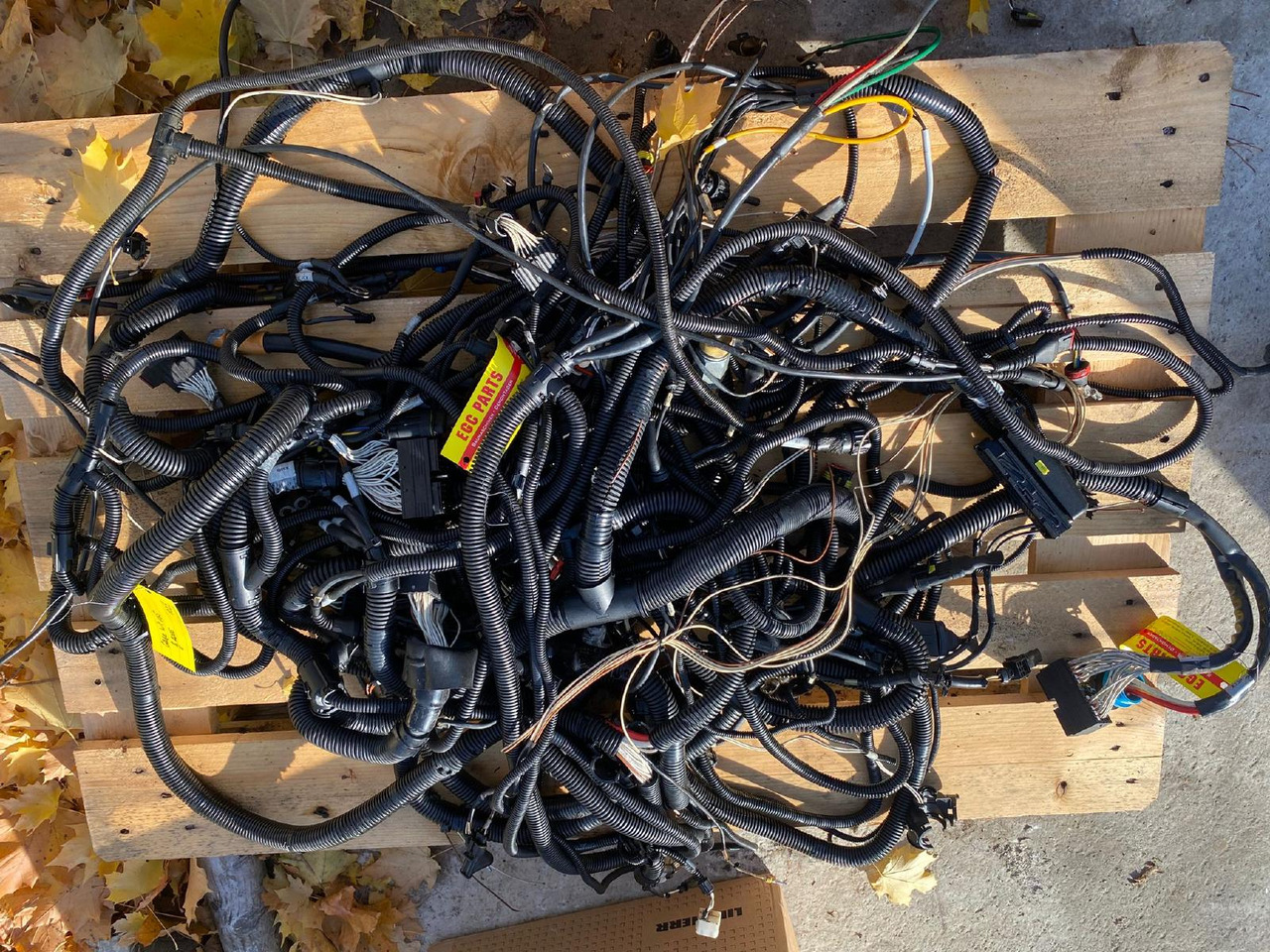 Case WX 165 - Cables/ Wire harness por Máquina de construção: foto 3 Case WX 165 - Cables/ Wire harness por Máquina de construção: foto 3