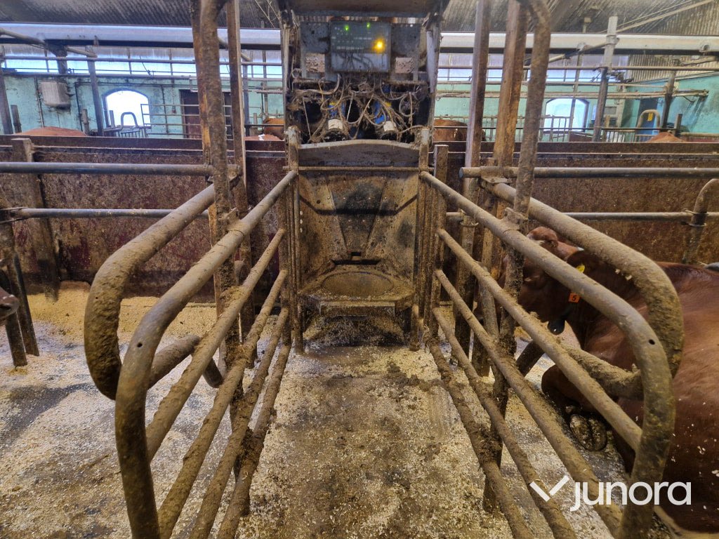 Foderstationer - Delaval, FSC40, 2st - Equipamento de gado: foto 1 Foderstationer - Delaval, FSC40, 2st - Equipamento de gado: foto 1