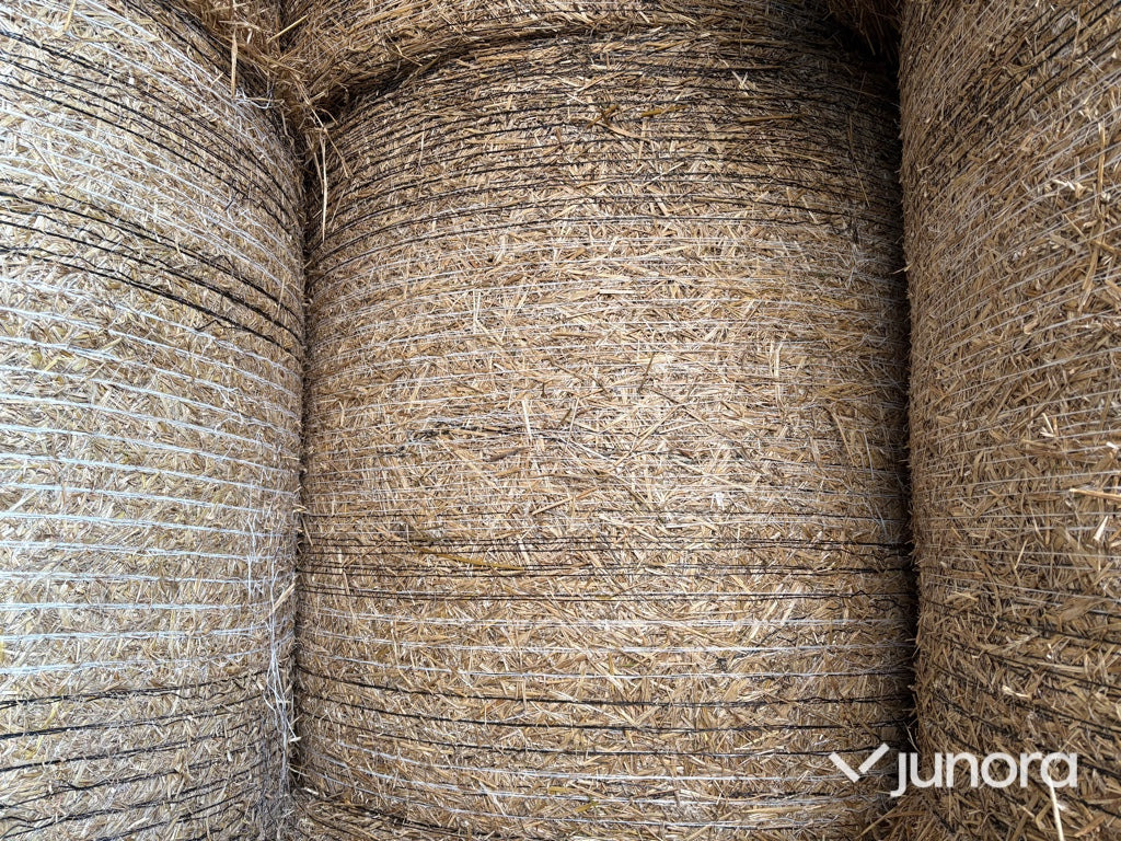 Ströbäddshalm - 40st - Equipamento de gado: foto 3 Ströbäddshalm - 40st - Equipamento de gado: foto 3