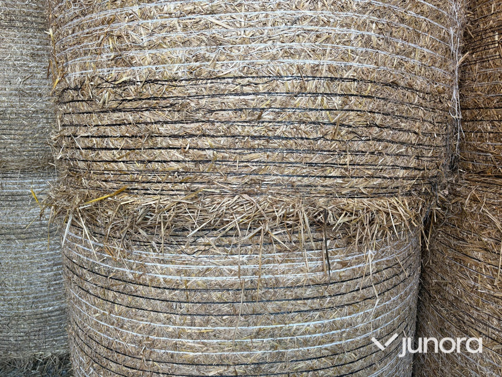 Ströbäddshalm - 40st - Equipamento de gado: foto 4 Ströbäddshalm - 40st - Equipamento de gado: foto 4